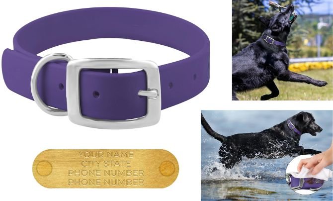 Regal Dog Products Waterproof Biothane Collar – Best Personalized Waterproof Dog Collar with Engraved Name Plate
