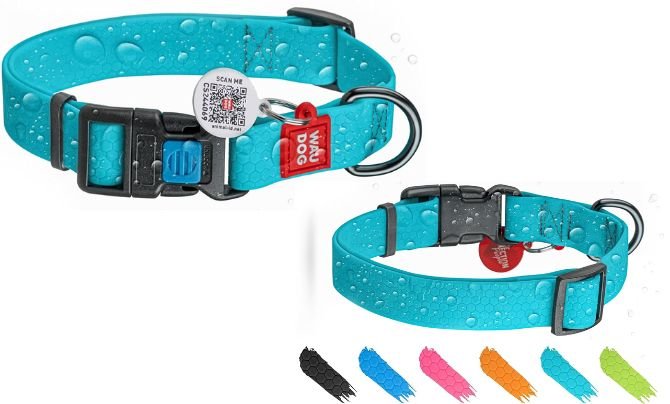 WAUDOG Waterproof Dog Collar – Best All-Around Waterproof Dog Collar with Smart ID Tag for All Sizes