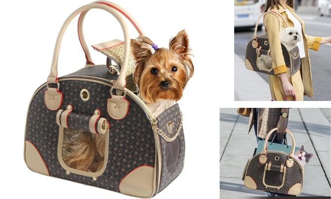 BETOP HOUSE Fashion Dog Carrier