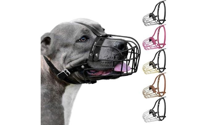 BRONZEDOG Pitbull Dog Muzzle Metal Mask