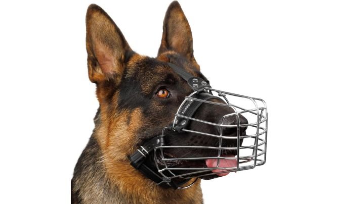 BRONZEDOG Wire Dog Muzzle Review (2026 Update) – Heavy-Duty Metal Basket Muzzle for German Shepherds and Large Dogs