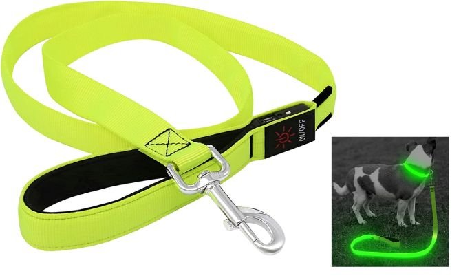 BSEEN Light Up Dog Leash