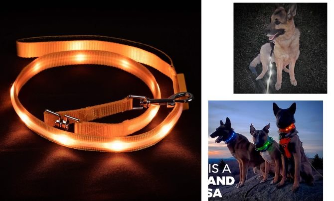 Blazin Light Up LED Dog Leash