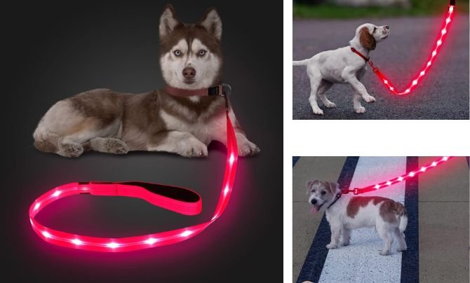 Candofly Light Up Dog Leash, USB Rechargeable LED Dog Leash