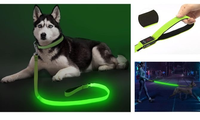 Colaseeme Light Up Dog Leash