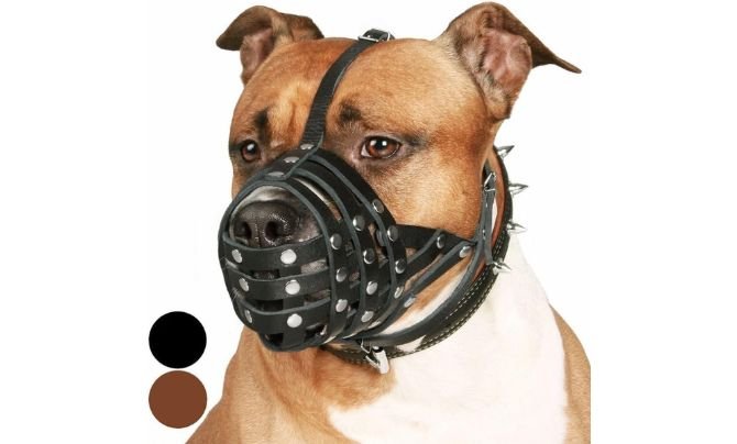 CollarDirect Pitbull Dog Muzzle Review (2026 Update) – Heavy-Duty Leather Basket Muzzle for Strong Breeds