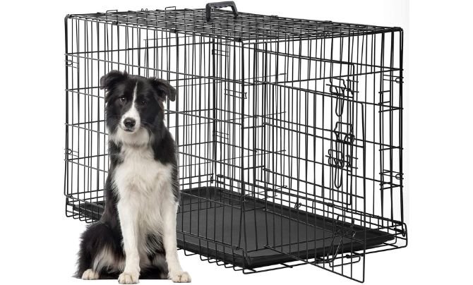 FDW 48-Inch Dog Crate Review