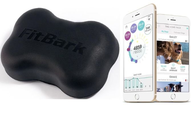 FitBark 2 Dog Activity Monitor – Best Lightweight Dog Activity Tracker for Health & Fitness Monitoring