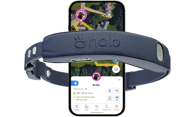 Halo Collar 4 Review – Best All-in-One GPS Wireless Dog Fence
