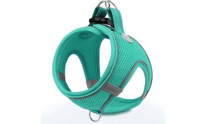 Joytale Small Dog Harness – Best Harness For Walking Small Dogs