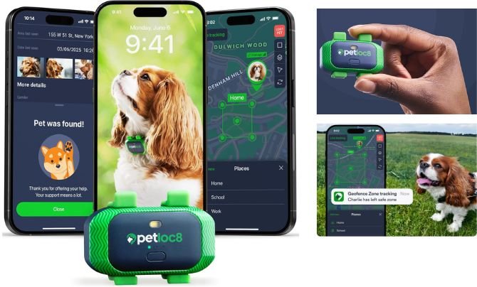 PETLOC8 Dog GPS Tracker