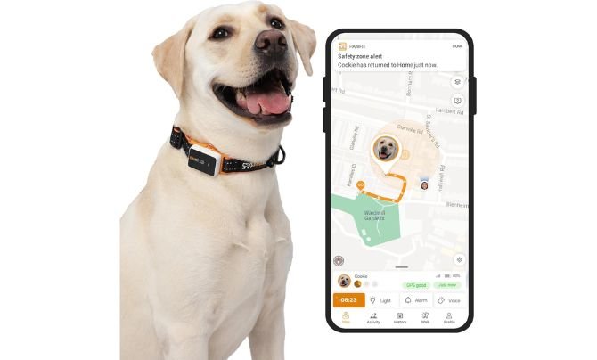 Pawfit 3 GPS Pet Tracker – Best 4G Dog Activity Tracker with Unlimited Range and Voice Recall