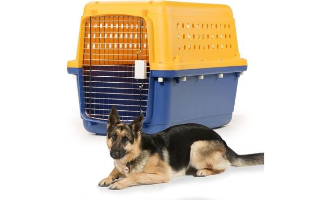 Pet-Express Pet Crate Review