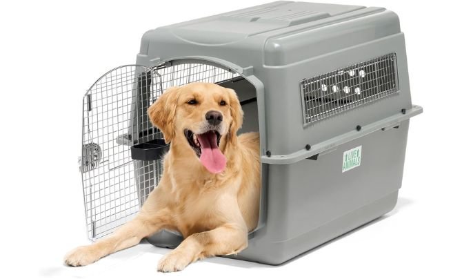 Petmate Sky Kennel Review
