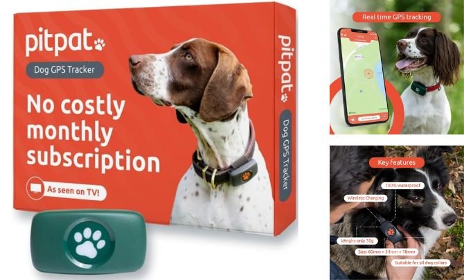 PitPat Dog GPS Tracker – Best Dog Activity Tracker with GPS and No Subscription Fees