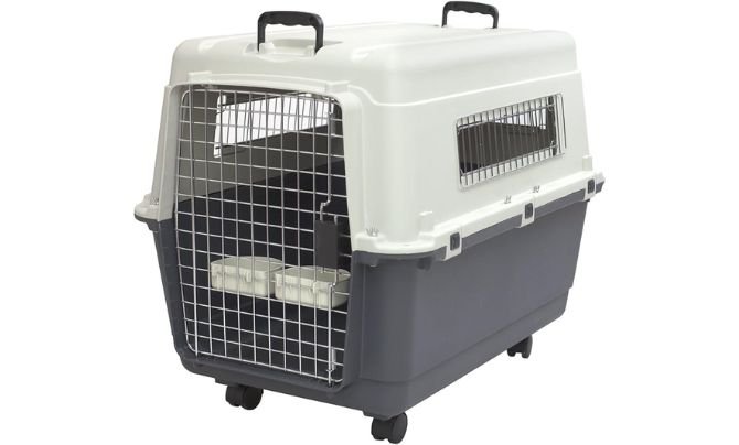 SportPet Designs Rolling Plastic Kennel Review