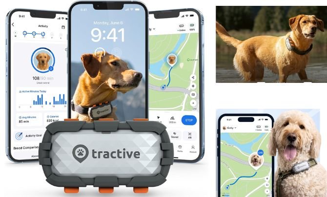 Tractive XL Smart Dog GPS Tracker – Best Dog Activity Tracker with Vital Signs Monitoring and Virtual Fence