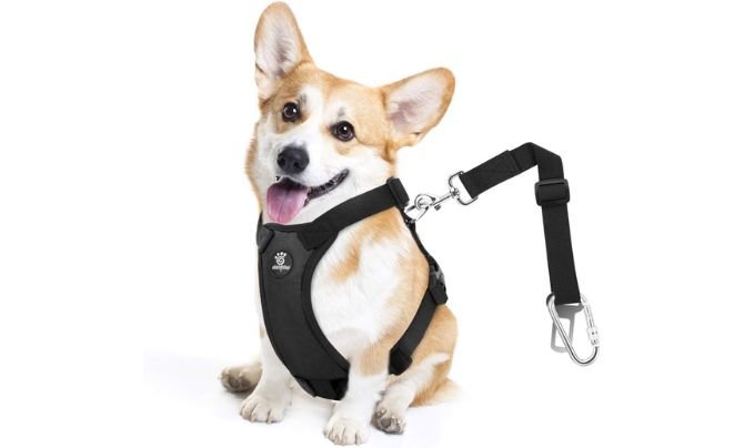 VavoPaw Dog Seat Belt Harness Review (2026 Update) — Heavy-Duty Safety for Small Dogs