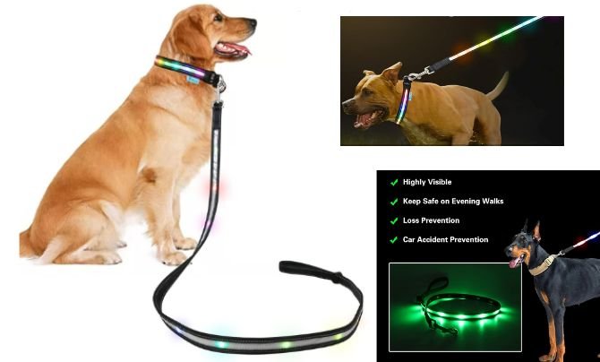 Yacig USB Rechargeable LED Dog Leash