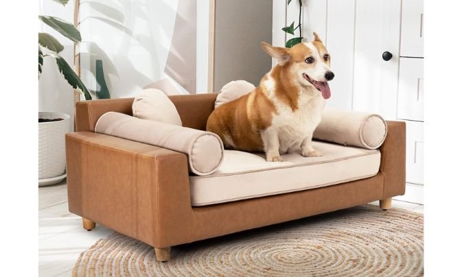 dCee Premium Large Dog Sofa Bed