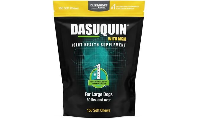 Nutramax Laboratories Dasuquin with MSM Joint Health Supplement for Large Dogs