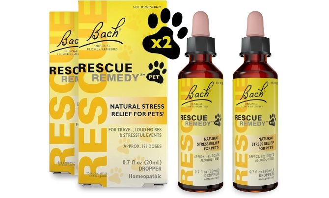 Bach RESCUE Remedy PET Dropper