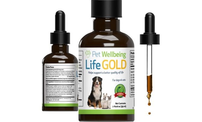 Best Supplements for Dogs with Cancer by Pet Wellbeing Life Gold