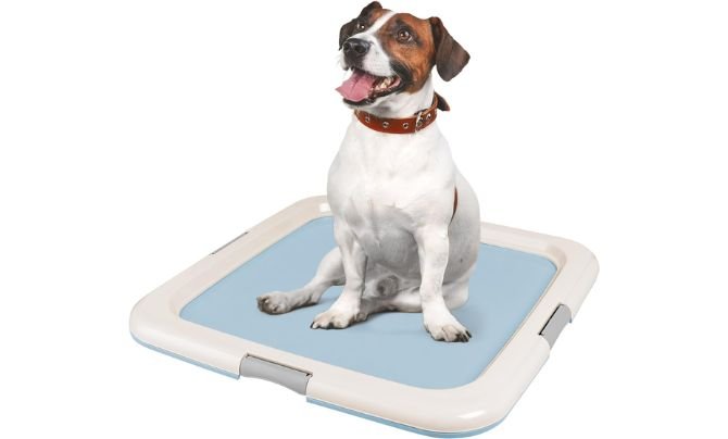 Iris USA Dog & Puppy Training Pad Holder