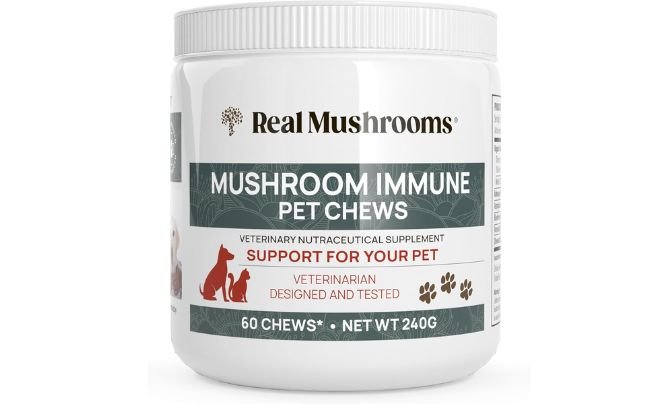 Mushroom Immune Support Pet Chews (60ct) treats for dogs