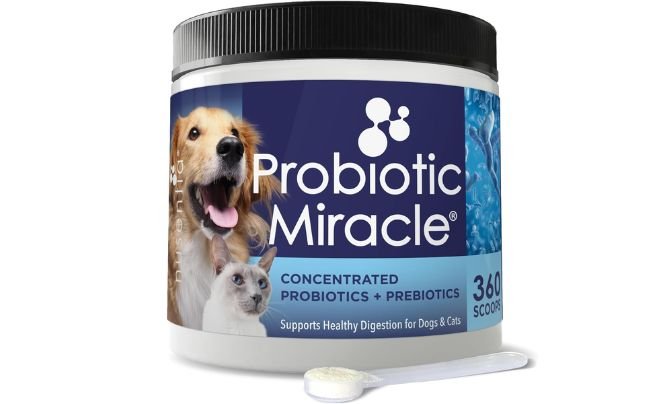 Nusentia Probiotic Miracle