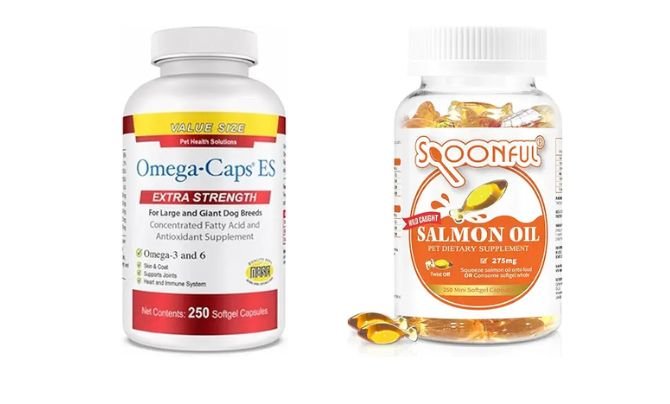 Omega-3 Fatty Acids: Anti-Inflammatory Support Supplements for Dogs with Liver Cancer