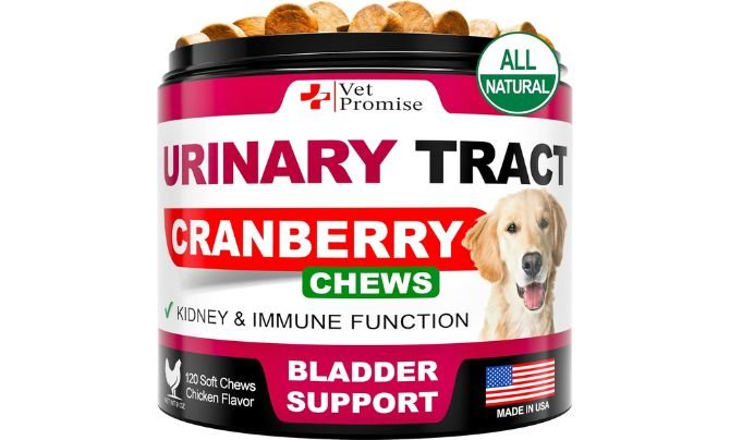 Vet Promise Dog UTI Treatment - Bladder Control for Dogs