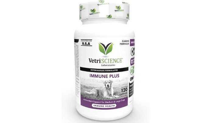 VetriScience Immune Plus Immunity Support for Dogs (Formerly Cell Advance 880)