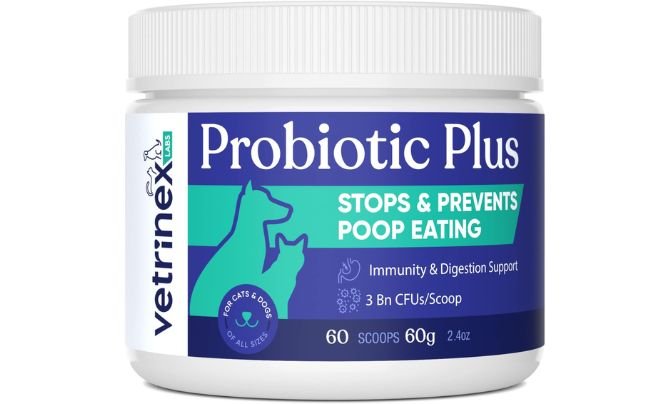 Vetrinex Labs Probiotic - dog supplements for poop eaters