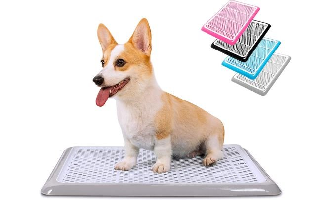 Pet Awesome Dog Potty Tray/Puppy Pee Pad Holder (25”x20”)