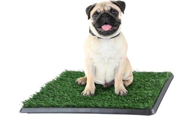 Petmaker Puppy Pad Holder