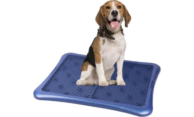 Petphabet Dog Pee Pad Holder