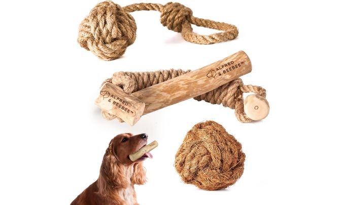 Alfred & Beebee Coffee Wood Chew Pack – Best Eco-Friendly Option