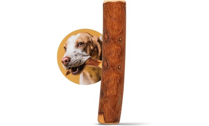 Little Loyals 100% Natural Olive Wood Sticks – Best for Aggressive Chewers