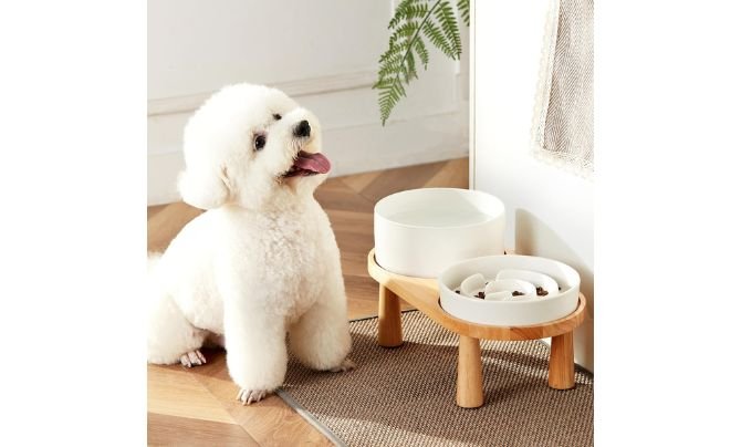 MOPANG Ceramic Slow Feeder and Water Bowl Set – Great for Balance