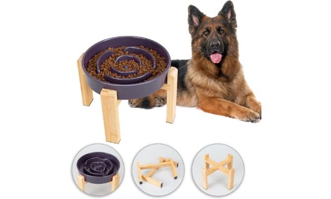 PTOBER Elevated Slow Feeder Dog Bowl – Best for Large Dogs