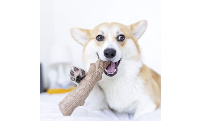 Petstages Dogwood Durable Dog Chew Toy (Large) – Best Overall Pick