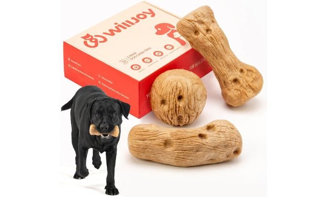 Willjoy 3-Pack Aggressive Chewers Set – Best Multi-Pack Option