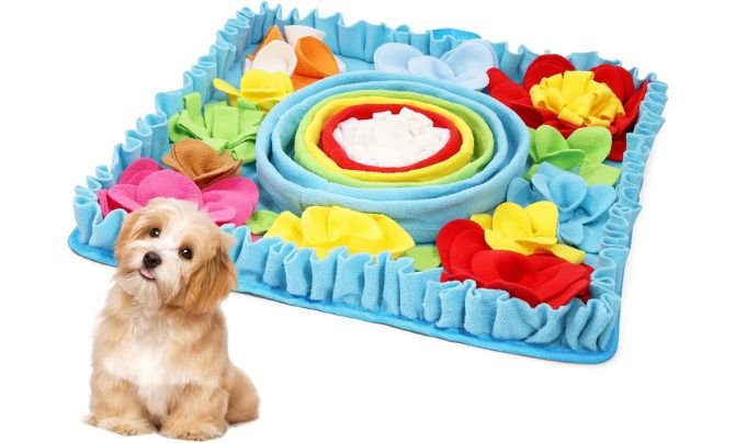 AMIR Snuffle Mat for Dogs