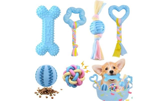 Bambinom Chew Toys for Small Dogs – 6 Pack