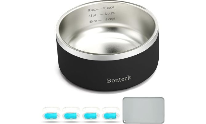 Bonteck Dog Bowl – Best Dual-Purpose Bowl
