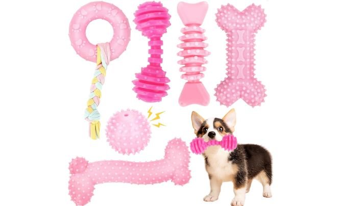CGBD Puppy Toys 6 Pack