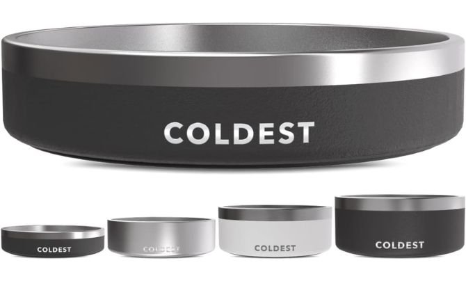Coldest Dog Bowl – Premium Insulated Stainless Steel Bowl