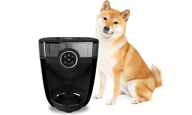 Feeder‑Robot by Whisker Review