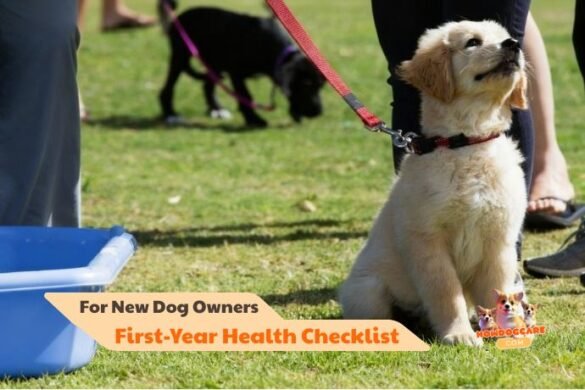 First-Year Health Checklist For New Dog Owners